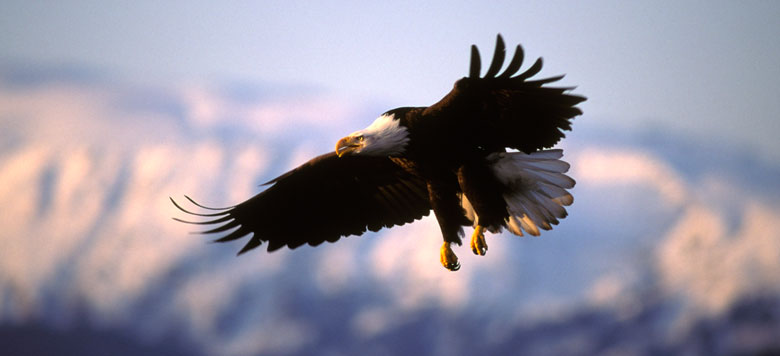 上海起帆电缆股份有限公司企业文化 上海起帆电缆股份有限公司企业文化